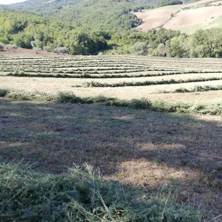 Willa Casa A Montebello Di Bertona Con Vista Gran Sasso Zewnętrze zdjęcie