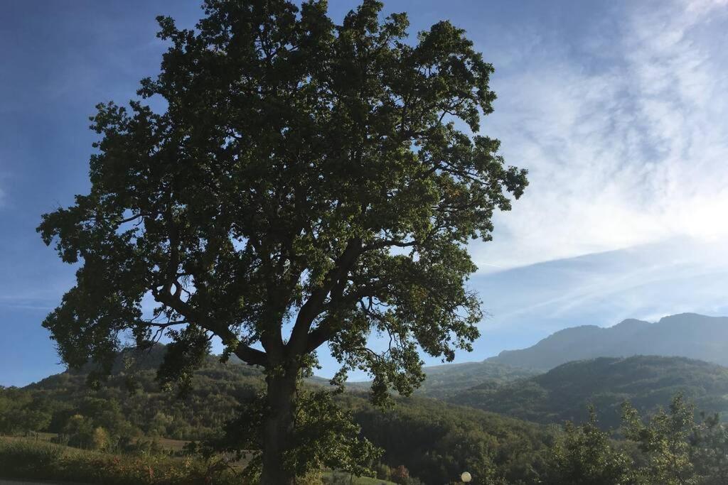 Willa Casa A Montebello Di Bertona Con Vista Gran Sasso Zewnętrze zdjęcie