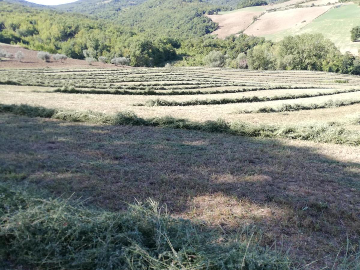 Willa Casa A Montebello Di Bertona Con Vista Gran Sasso Zewnętrze zdjęcie