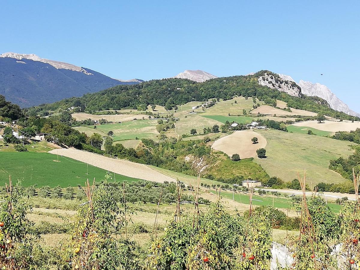 Willa Casa A Montebello Di Bertona Con Vista Gran Sasso Zewnętrze zdjęcie