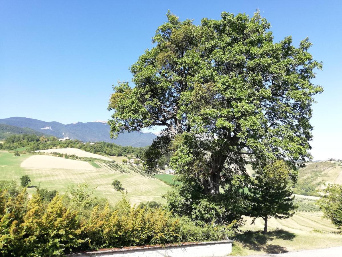 Willa Casa A Montebello Di Bertona Con Vista Gran Sasso Zewnętrze zdjęcie